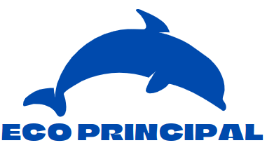  Ecoprincipal international